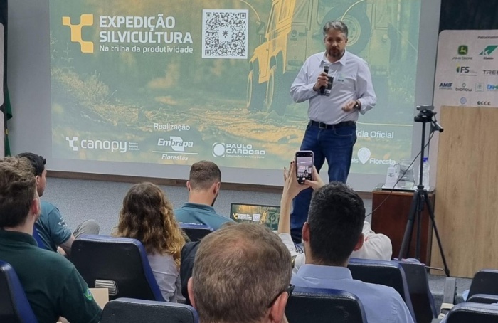 Paraná avança 24% no faturamento da produção florestal