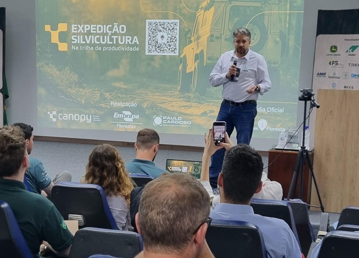 Paraná avança 24% no faturamento da produção florestal