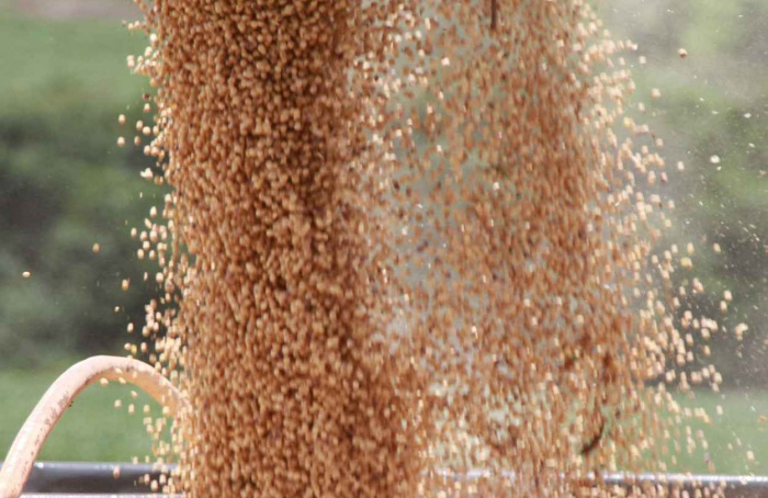 PR Safra 2025/26: chuvas recentes impulsionam lavouras