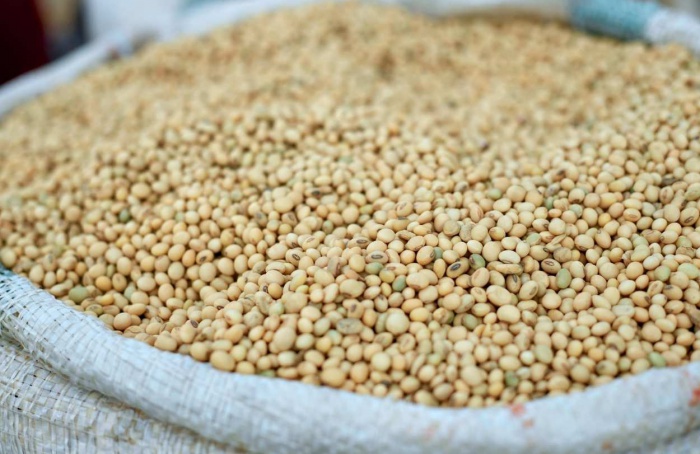 Mercado da soja reage ao acordo dos Estados Unidos com a China