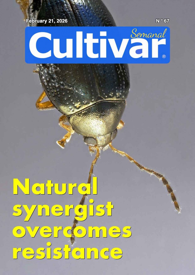 Cultivar Semanal 67