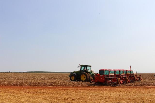 Semeadura da soja chega a 36% das lavouras do estado, segundo Aprosoja/MS