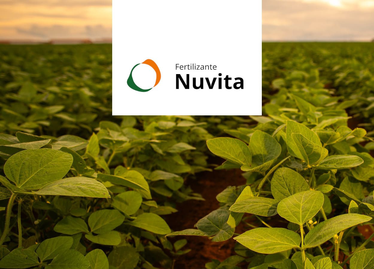 UPL lança Nuvita para culturas de milho e soja