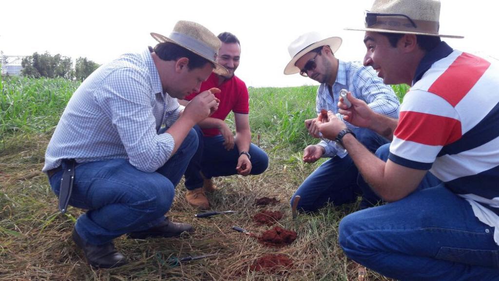 ESALQ abre inscrições para Curso de Especialização em Manejo do Solo