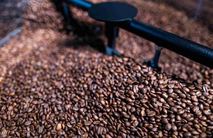 Estudo mede potencial do café arábica no sul dos EUA