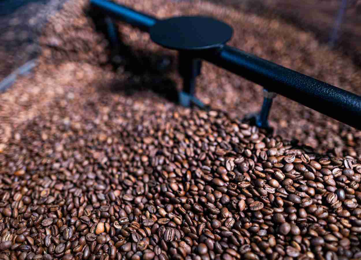 Estudo mede potencial do café arábica no sul dos EUA