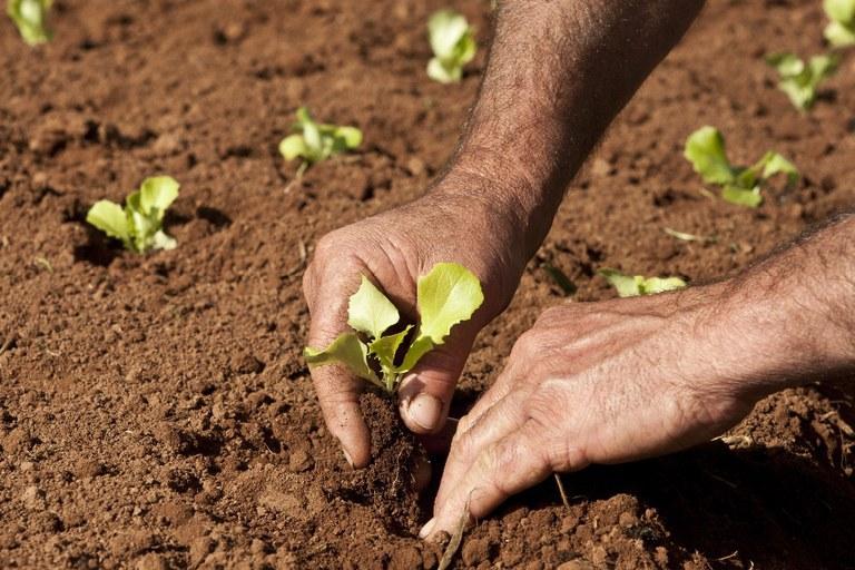 Agricultura familiar tem 19% mais recursos no Plano Safra 2021/2022