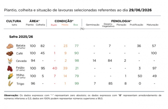 PR Safra 2025/26: geadas elevam risco para trigo