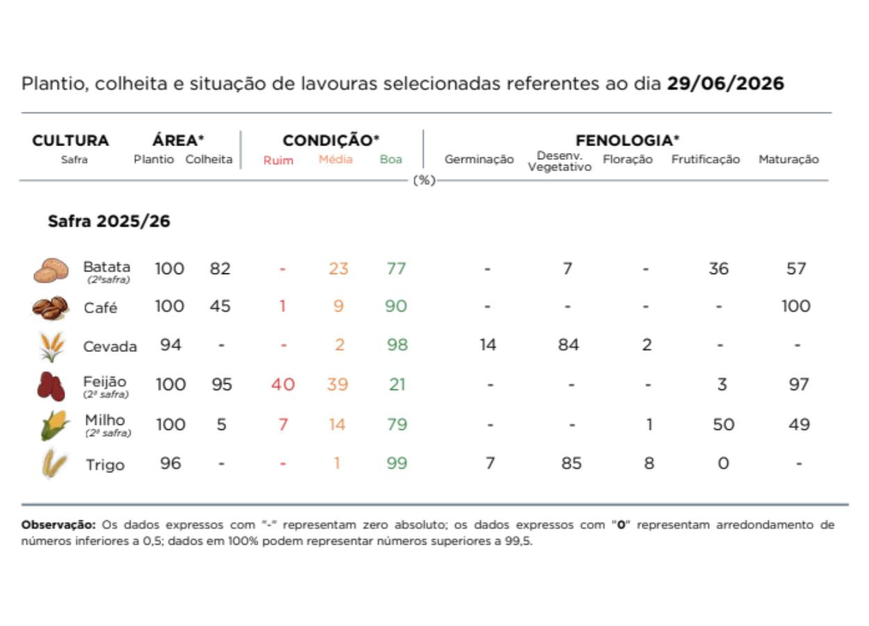 PR Safra 2025/26: geadas elevam risco para trigo