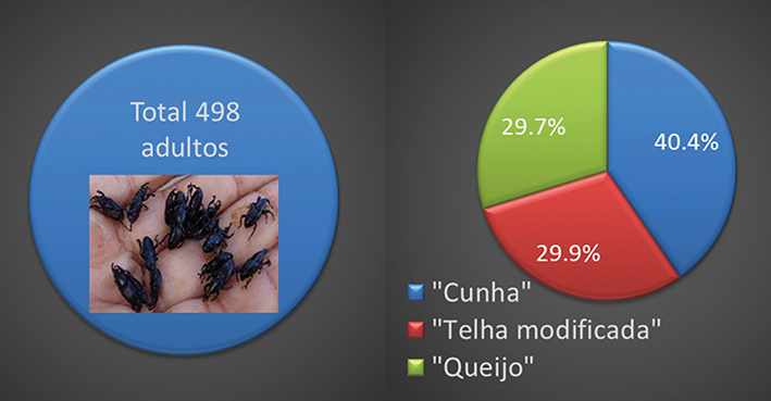 Figura 5 - Porcentagem de adultos da broca-do-rizoma capturados em cada tipo de armadilha. Tancredo Neves, BA, dezembro de 2014 a fevereiro de 2015.