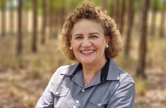 Solo saudável: o grande trabalhador da agricultura brasileira