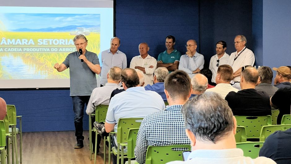 Foto: Shaiane Corrêa