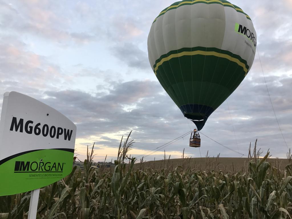 Dia de Campo Morgan ocorre em Santa Cruz do Rio Pardo