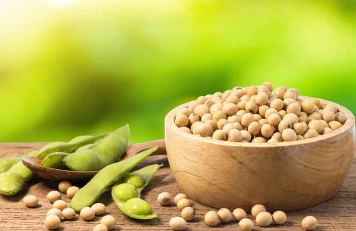 StoneX projeta fim de 2025 desafiador para o agronegócio