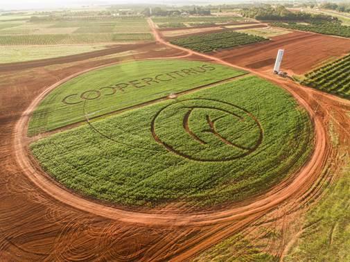 Crescimento produtivo da agropecuária passa pela tecnificação
