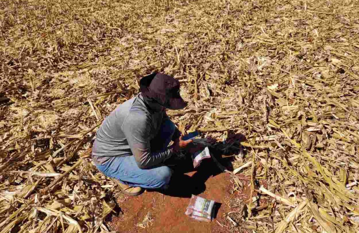 Brasil tem déficit de 8 milhões de análises de solo por ano