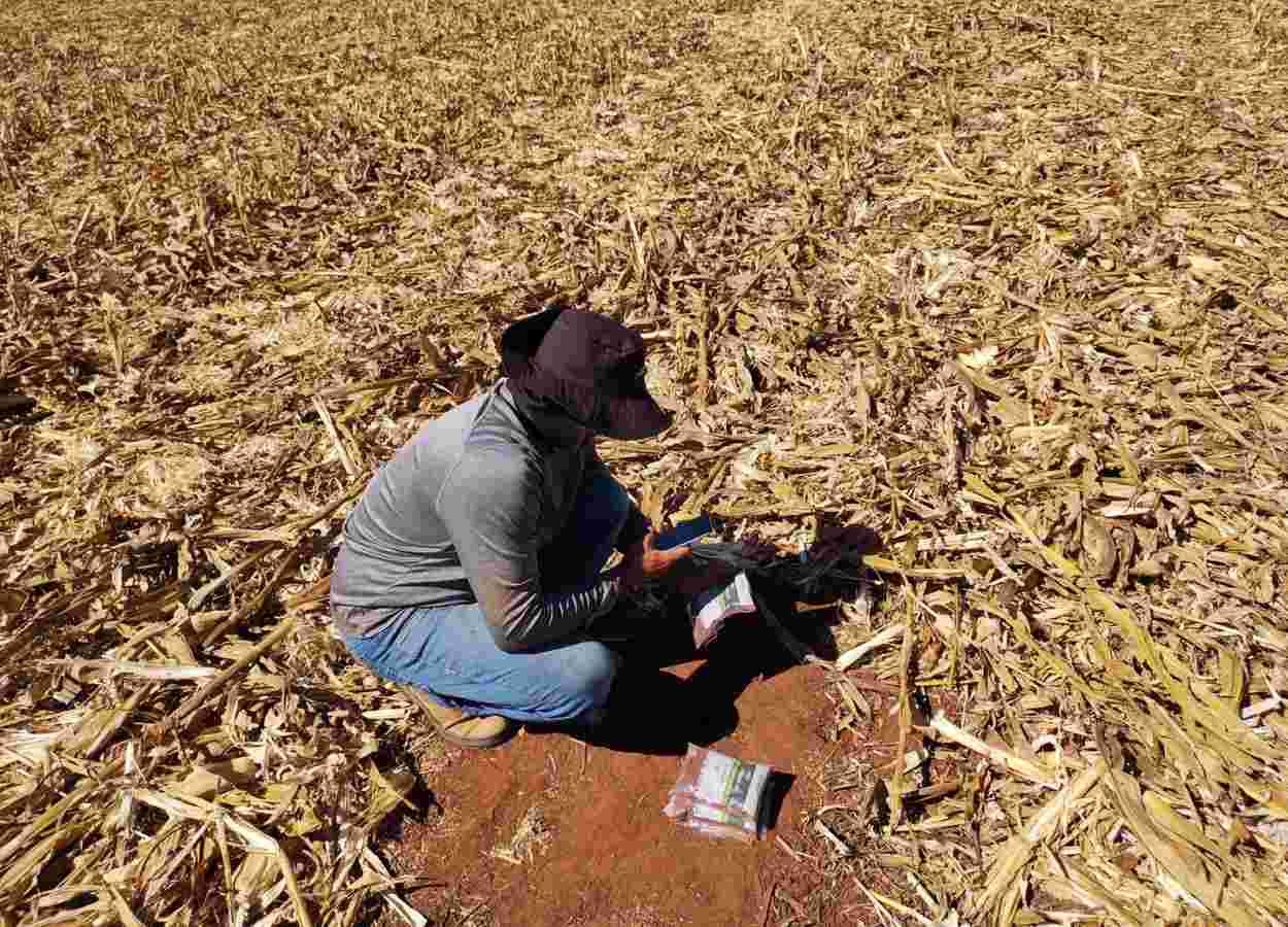 Brasil tem déficit de 8 milhões de análises de solo por ano