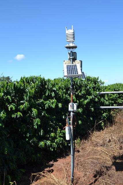 Resultados de 4 anos de experimento em mudanças climáticas em café serão apresentados em seminário