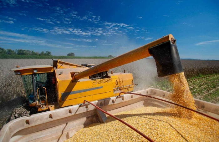 Coamo recebe recorde de 68,5 milhões de sacas de milho
