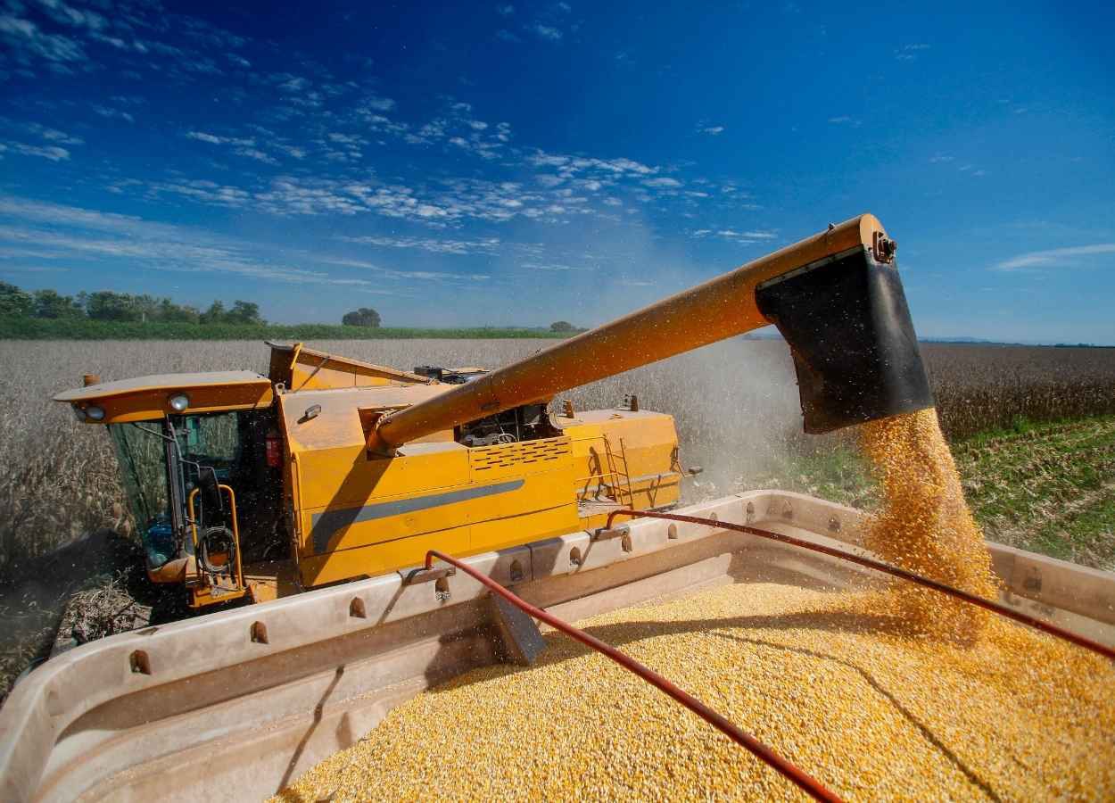 Coamo recebe recorde de 68,5 milhões de sacas de milho