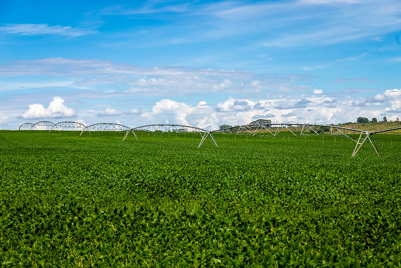 Bayer delivers first load of soybeans with a tracked carbon footprint and free from deforestation