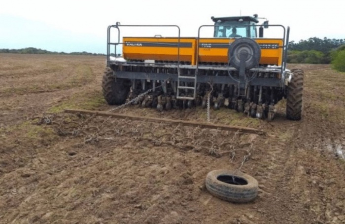 Plantio de arroz no Rio Grande do Sul chega a 48%