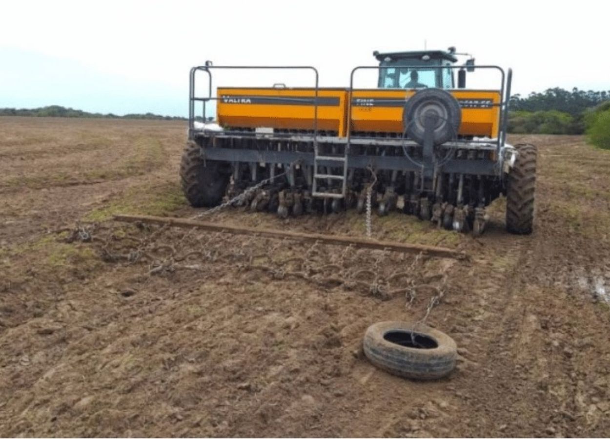 Plantio de arroz no Rio Grande do Sul chega a 48%