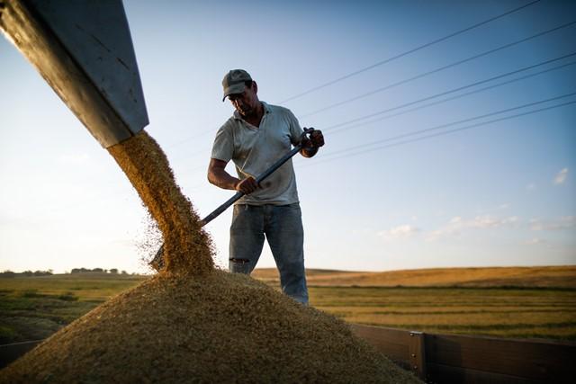 Número de ocupados no agronegócio se recupera no 3º trimestre de 2020