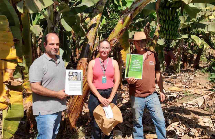 Agrodefesa realiza ações preventivas para a bananicultura goiana