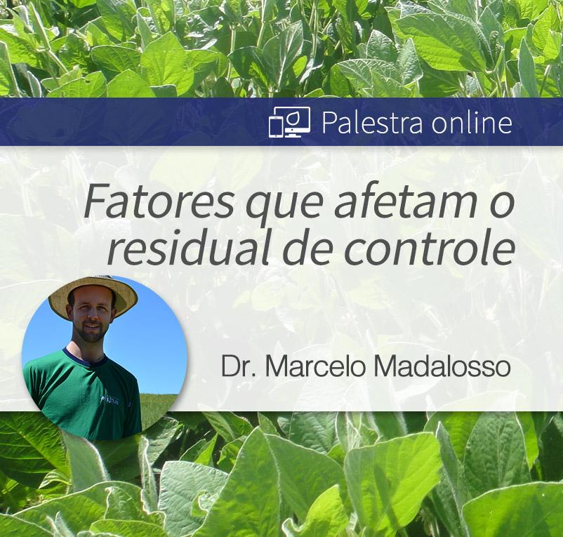​Instituto Phytus promove palestras gratuitas com pesquisadores