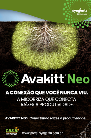 Syngenta Outubro