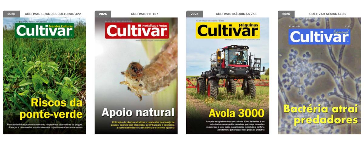 Capas - 2025