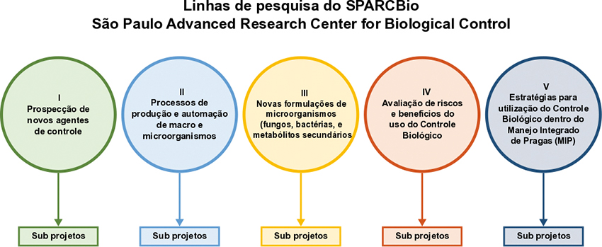 Figura 1 - Principais linhas de pesquisa do SPARCBio