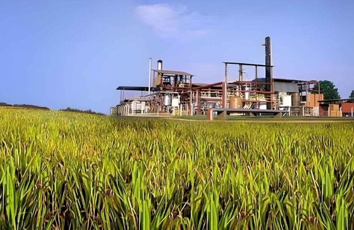 Produção de etanol cresce no Norte e Nordeste