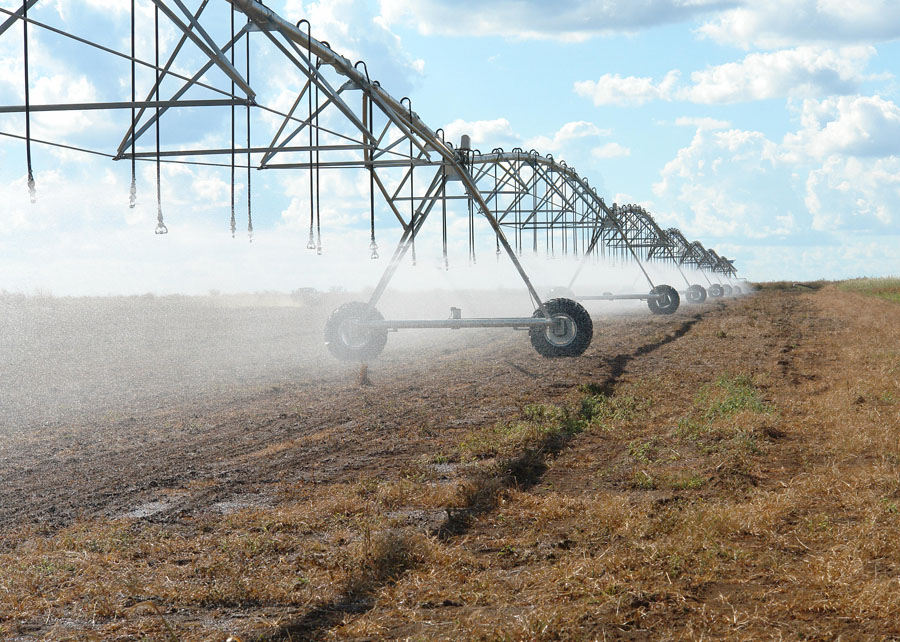 Sistema de Classificação de Terras para Irrigação agora abrange soja e arroz