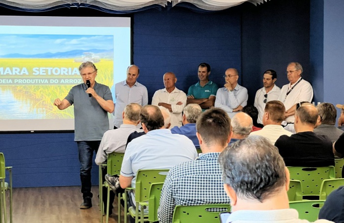 Cadeia do arroz de Santa Catarina cobra medidas emergenciais