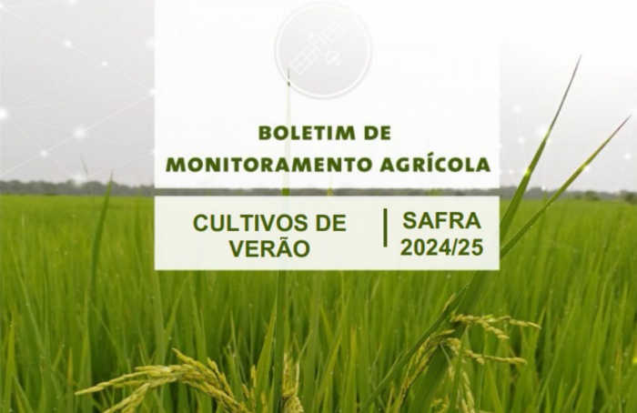 Condições climáticas afetam lavouras pelo país