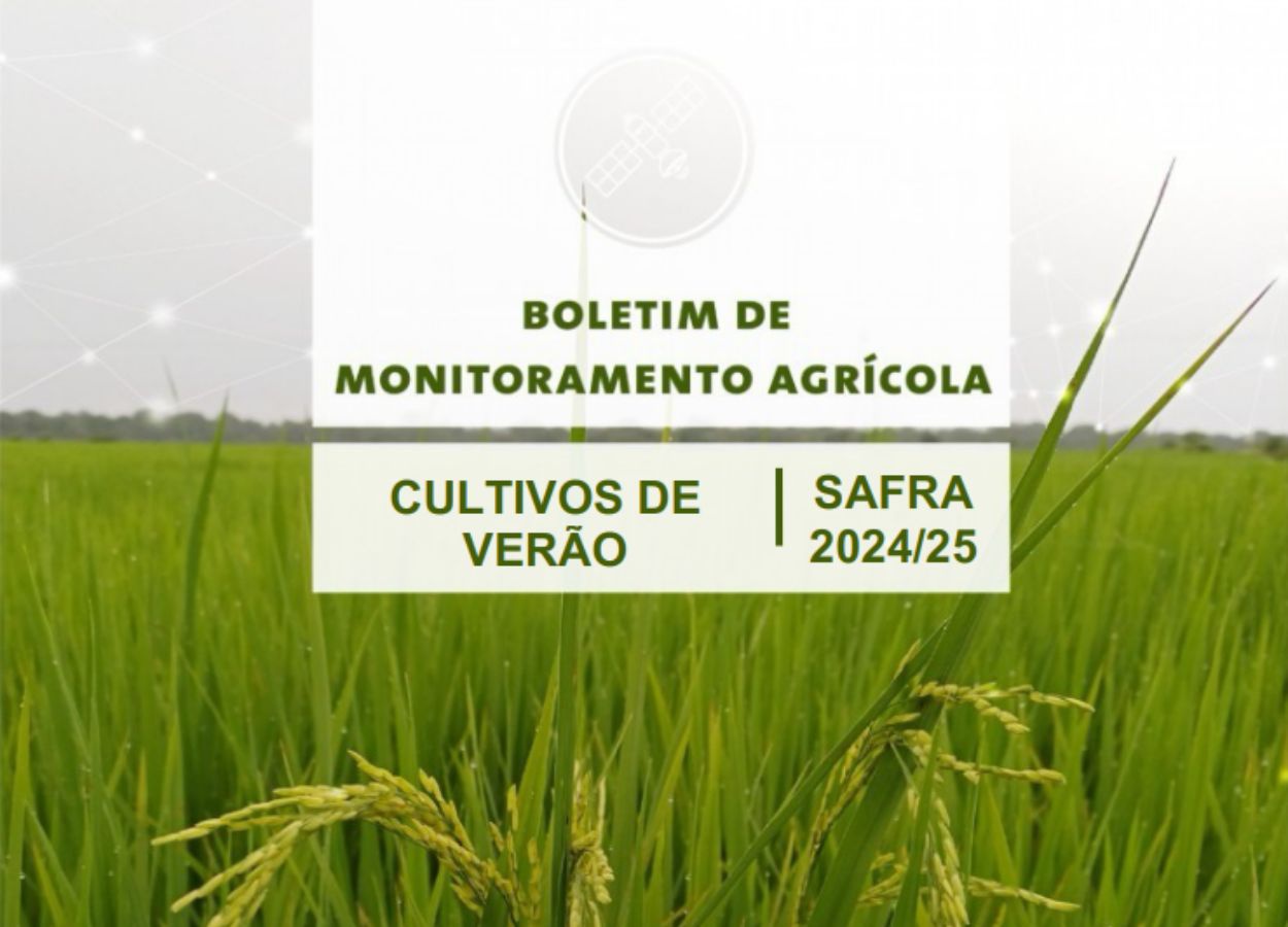 Condições climáticas afetam lavouras pelo país