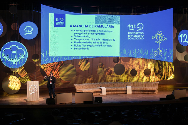 12° Congresso Brasileiro do Algodão é realizado em clima de safra recorde