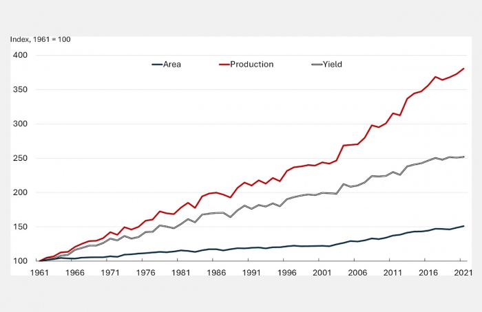 Estudo mostra produtividade agrícola em alta no mundo