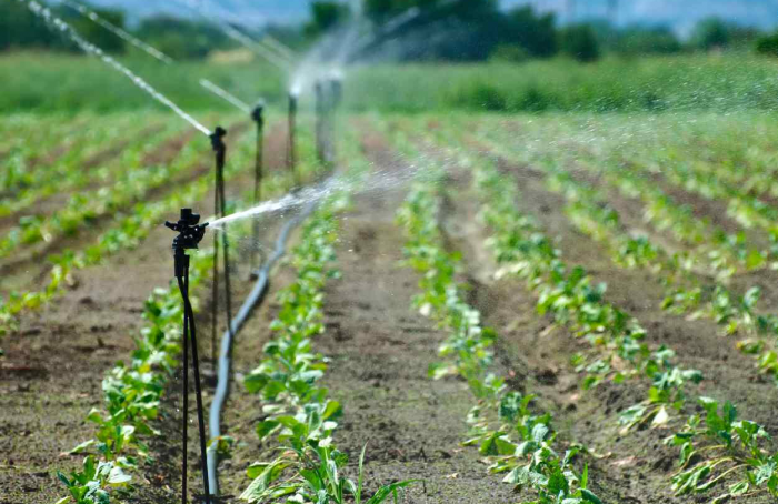 Secretaria de Agricultura quer dobrar áreas irrigadas de São Paulo em quatro anos