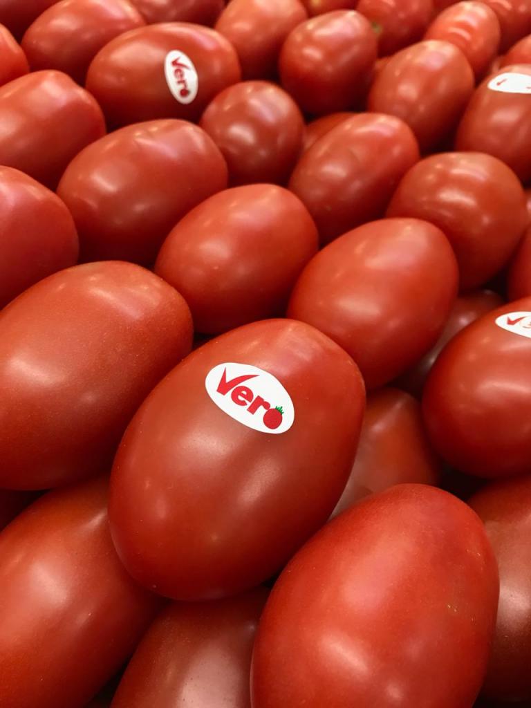 Tomate com mais sabor é lançado no mercado