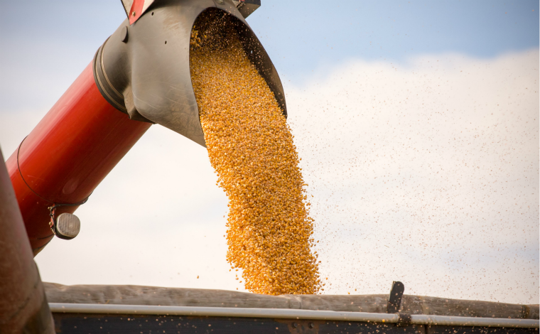 Safra 2018/2019 fecha com recorde de 242,1 milhões de ton de grãos