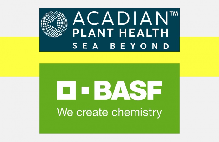 Acadian Plant Health e BASF fecham parceria para soluções agrícolas sustentáveis