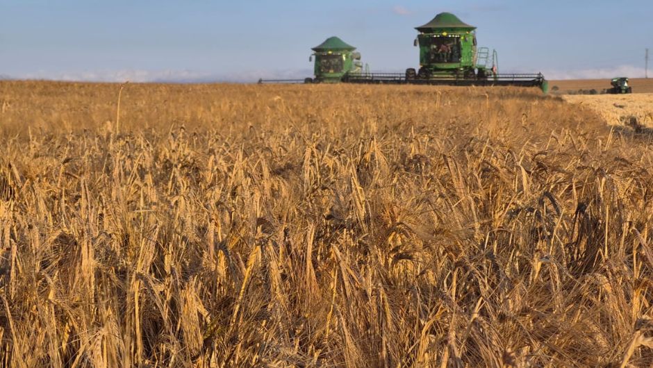 Foto: Eliezer Fatiga Solda