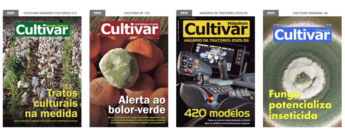 Capas - 2025