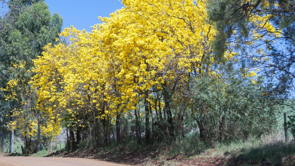 Foto: Fernando Dias