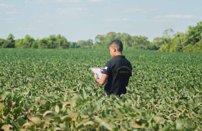 Plantio excepcional de soja começa em 20 de abril no Tocantins