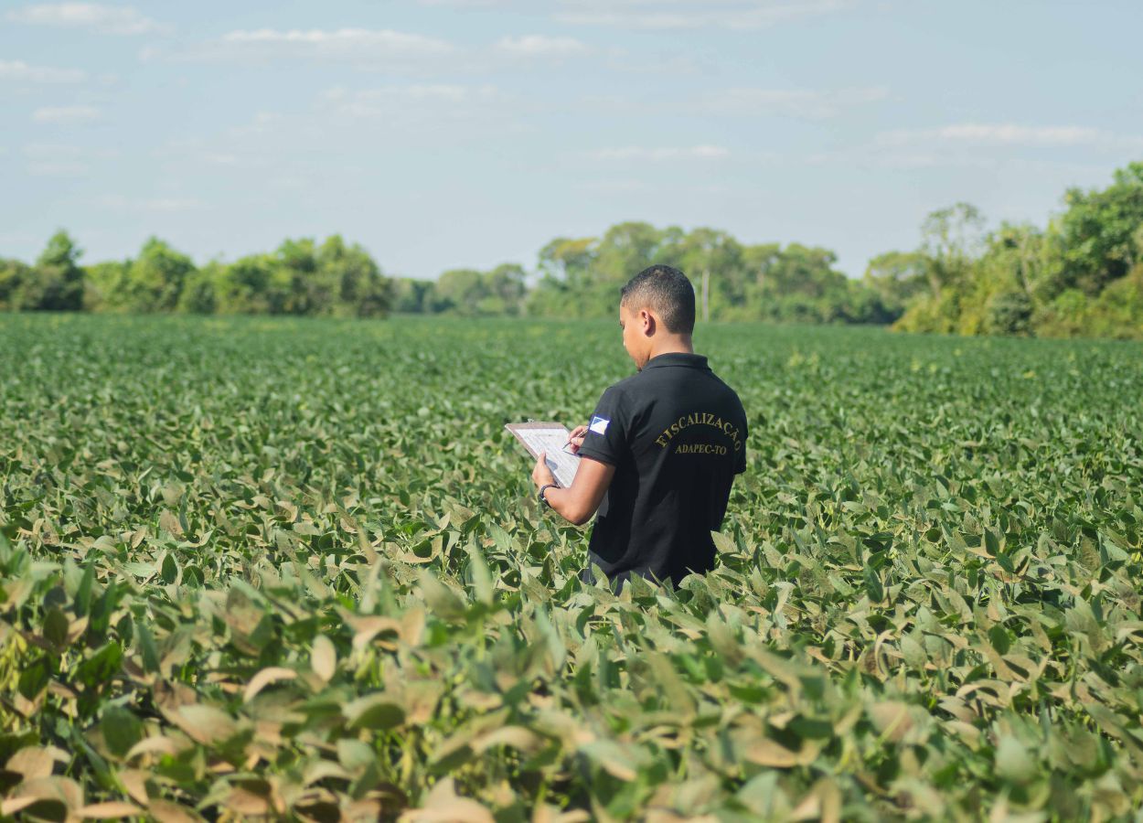 Plantio excepcional de soja começa em 20 de abril no Tocantins
