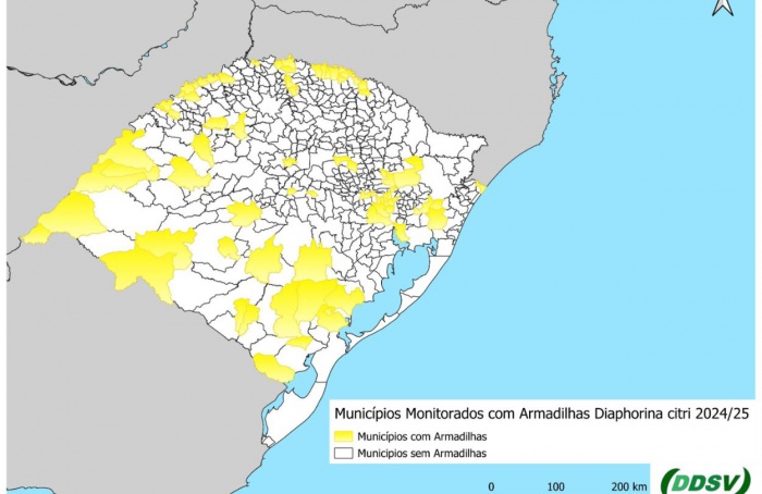 Monitoramento de HLB-Greeening para a safra 2024-25 é iniciado no Rio Grande do Sul